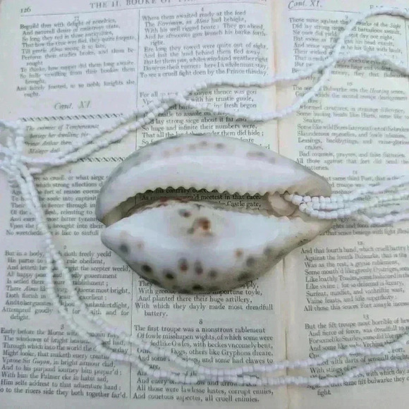 Vintage tiger cowrie shell beaded necklace - Picture 8 of 13